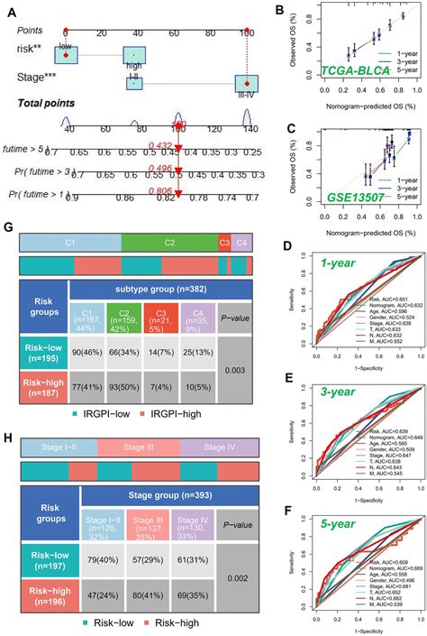 Molecular Map Of CGAS STING Pathway Related Genes In Bladder Cancer