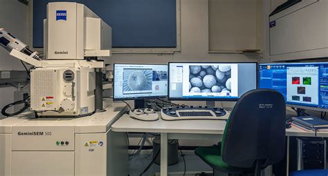 zeiss gemini sem bioimaging centre university  exeter