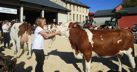 Haut Valromey Le Haut Valromey Pr Pare Le Comice Agricole