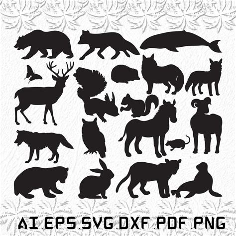 Mammals svg, Mammal svg, animal svg, pet, animals, SVG, ai, - Inspire ...