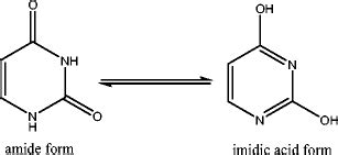 Predominant tautomers of uracil at pH 7 | Download Scientific Diagram