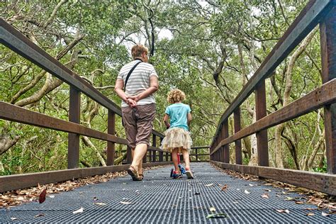 images walking people track recreation park exercise