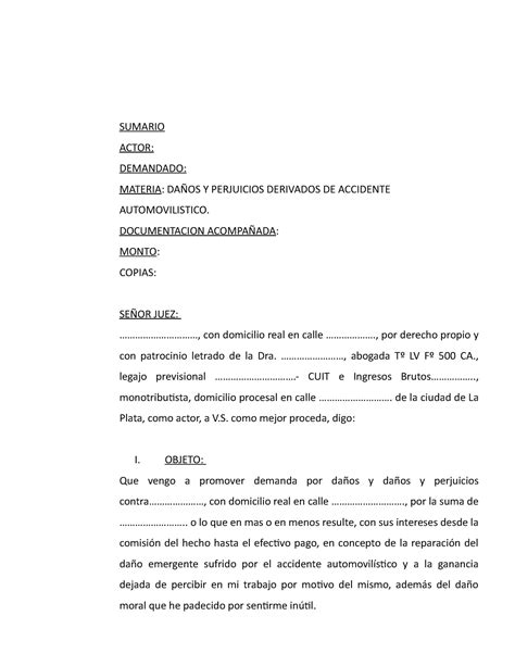 Modelo Demanda Da Os Y Perjuicios Sumario Actor Demandado Materia