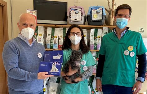 Campanha de esterilização de animais comparticipou 162 candidaturas em