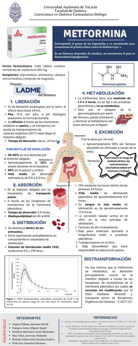 Metformina Farmacocinética de fármaco antidiabético Argaez Palma