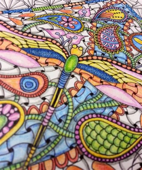 Dragonfly In Zentangle Tangle Art Dragonfly Art Doodles Zentangles