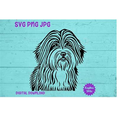 Bearded Collie Dog Svg Png  Clipart Digital Cut File Down Inspire