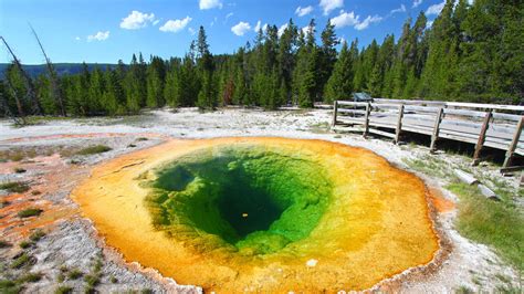 Fatale Auswirkungen Des Tourismus Naturwunder Im Yellowstone Park Wohl