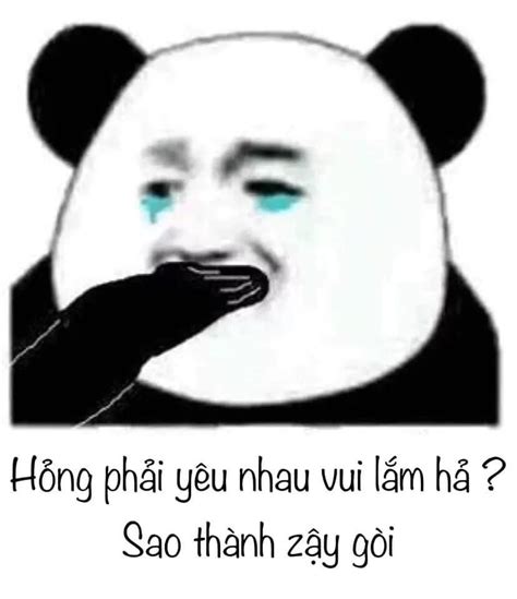 Ghim Của Mieseyo Trên Cmeme Trong 2020 Meme Gấu Trúc Hài Hước