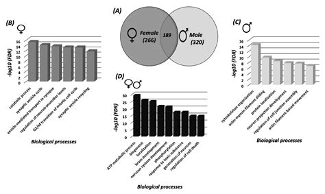 Biomedicines Free Full Text Sex Differences In Biological Processes