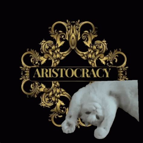 Lazy Cat GIF - Lazy Cat Aristocracy - Discover & Share GIFs