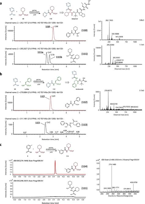 Lcms Analysis And Extracted Ion Chromatograms Eics Of Fragments Of Download Scientific