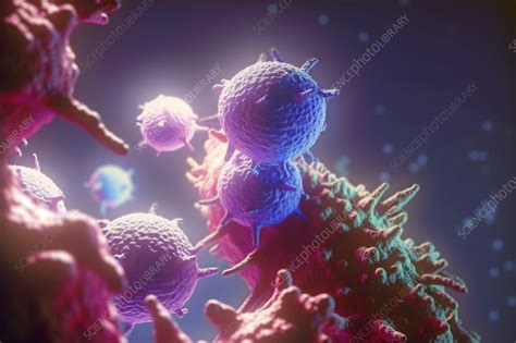 Cancer Cells Illustration Stock Image C Science Photo