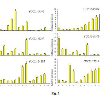 Mapping Of The Mrna Cleavage Sites By Ppm Race And Rlm Race Each Top