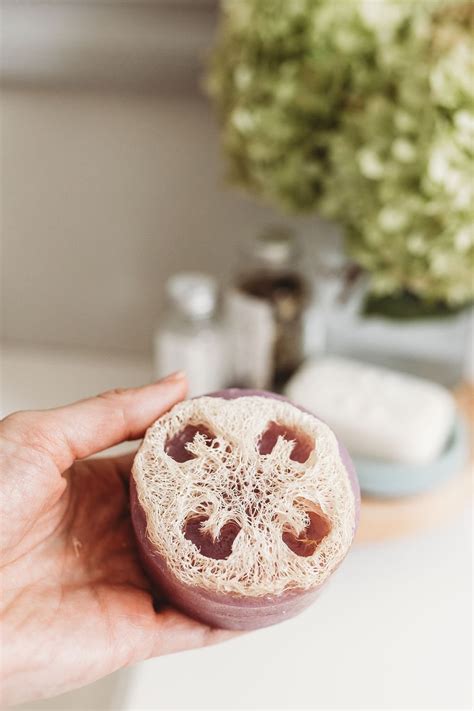 Lavender Mint Natural Loofah Sponge Soap