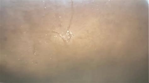 Sexo No Banho Search XVIDEOS