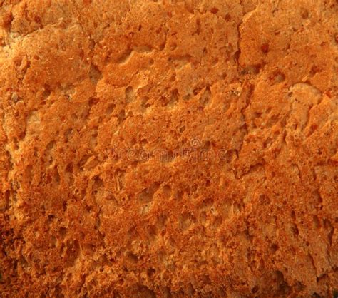 Bread Golden Warm Crust Bakery Texture Stock Image Image Of Life