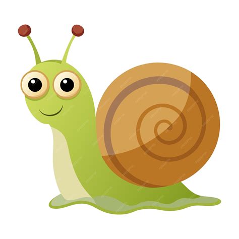 Premium Vector | Illustration of Grove snail isolated