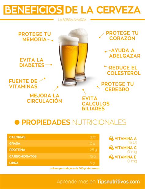 La Cerveza Y Sus Propiedades Cervezas Certaco