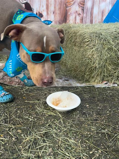 CanyonVet - New Braunfels | New Braunfels TX