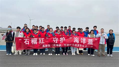 “石榴红”守护“海洋蓝” 启东市高新区（近海镇）石榴籽志愿服务队在行动 南通市民宗局