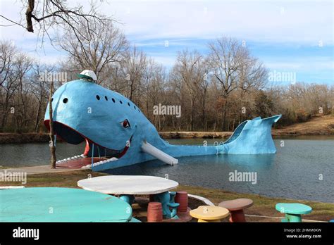 Whole Blue Whale Of Catoosa Hi Res Stock Photography And Images Alamy