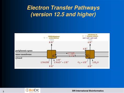 PPT - Electron Transfer Reactions and Pathways PowerPoint Presentation ...