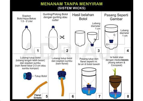 Tutorial Cara Menanam Tanaman Hidroponik Dengan Botol Bekas Menggunakan