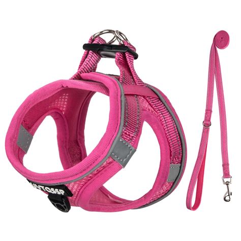 Rose Padded Dog Harness for Small Dogs - Comfortable & Stylish Puppy