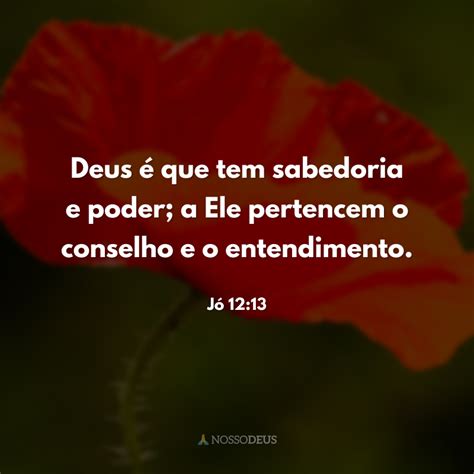 Frases B Blicas De Sabedoria Para Viver Primor Os Projetos De Deus