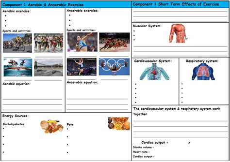 Gcse Pe Edexcel Aerobic Anaerobic Short Term Effects