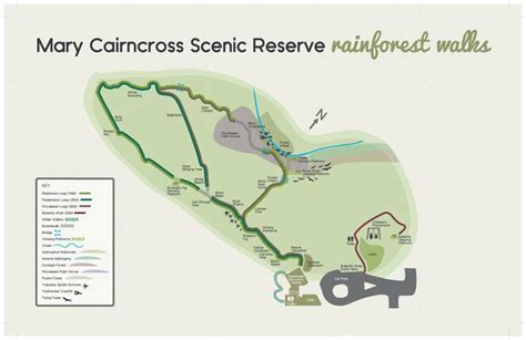 Walks At Mary Cairncross Scenic Reserve In Jinibara Country Maleny