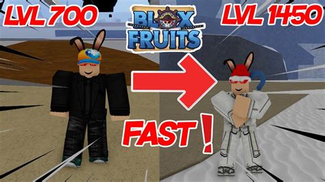 Blox fruits level guide