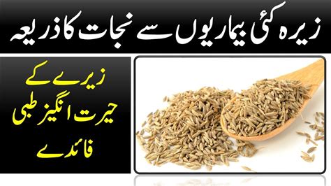 Cumin Seeds Benefits Zeera K FaidyZeery Ke Fayde Safaid Zeera Ke