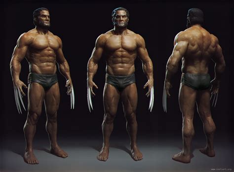 Wolverine anatomy by Mikeypetrov on DeviantArt