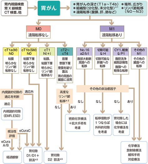 胃術後栄養指導 | 胃を切った方の快適な食事と生活のために – XDHN