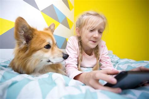 Garota divertida e corgi de cachorro na cama no berçário Foto Premium