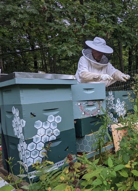 Pin By Lauren Green On Buzz In 2024 Painted Bee Hives Bee Hives