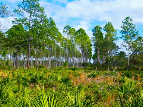 State Parks Near St Augustine The BEST For 2022