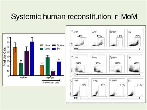 Ppt In Vivo Analysis Of Hiv Replication And Persistence In The