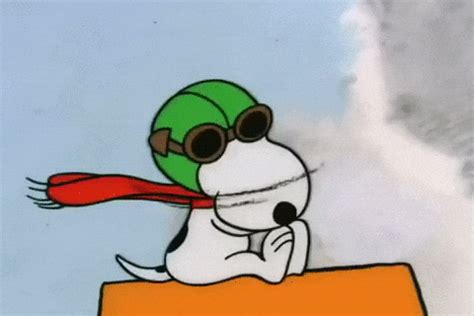 Snoopy GIFs - Get the best GIF on GIPHY