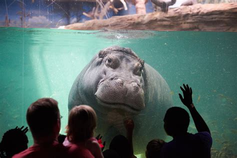 Adventure Aquarium — Visit Philadelphia — visitphilly.com