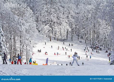 Group Kids and People Sledding and Skiing in the Snow Stock Image ...