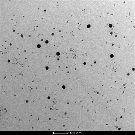 Sample Tem Image Of Suspension Of Agnps In Distilled Water