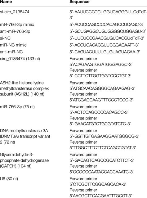 The Sequences Of Oligonucleotides And Primers Download Scientific Diagram