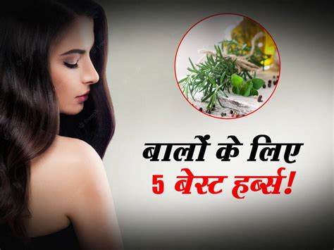 Herbs For Hair बालों की ग्रोथ के लिए इस्तेमाल करें ये 5 हर्ब्स खूबसूरत और घने होंगे बाल