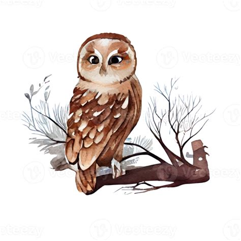 Vintage Watercolor Owl Ai Generated 22805940 Png