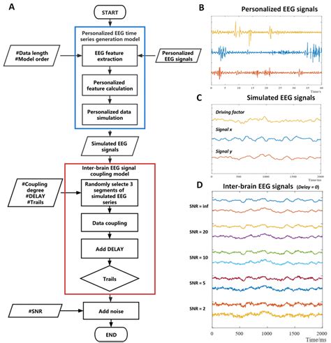 The Simulated Inter Brain Coupled EEG Signals Generation Process A