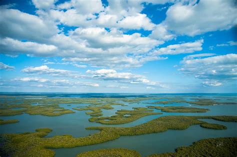 8 Things To Know Before Driving Alligator Alley In Florida - Florida ...