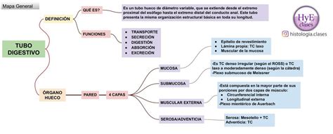 Mapa Mental Tubo Digestivo Ana Carolina Gadelha Ribeiro Udocz